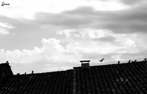 Fotografia de Lizardbly - Galeria Fotografica: A la vera II - Foto: 