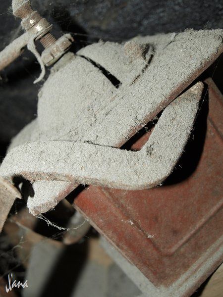 Fotografia de Lizardbly - Galeria Fotografica: A la vera II - Foto: 