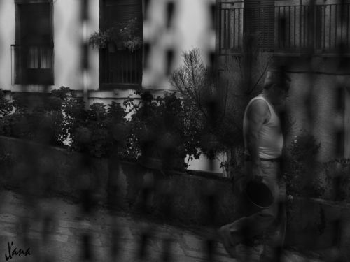 Fotografia de Lizardbly - Galeria Fotografica: A la vera II - Foto: 