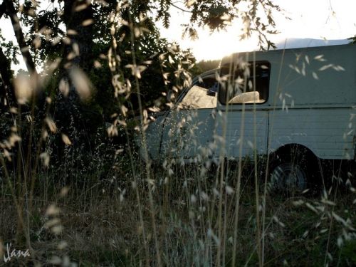 Fotografia de Lizardbly - Galeria Fotografica: A la vera II - Foto: 