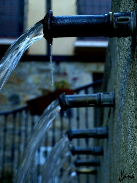 Fotografia de Lizardbly - Galeria Fotografica: A la vera II - Foto: 