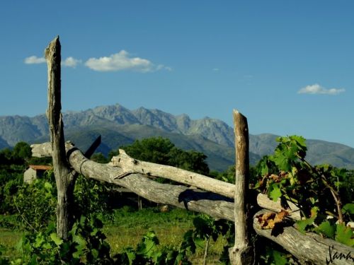 Fotografia de Lizardbly - Galeria Fotografica: A la vera II - Foto: 