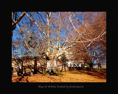 Fotografia de joseba garcia - Galeria Fotografica: Lo que no debes dejar de ver. - Foto: 