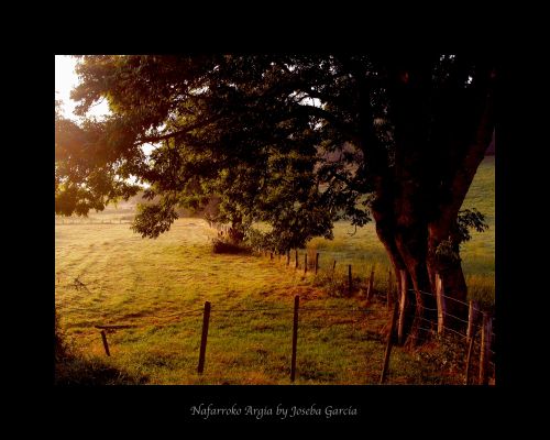 Fotografia de joseba garcia - Galeria Fotografica: Lo que no debes dejar de ver. - Foto: 