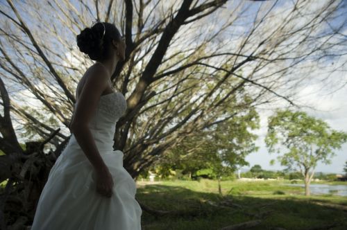 Fotografia de Fernando Figuera Foto y video - Galeria Fotografica: Muestras de mi trabajo - Foto: 