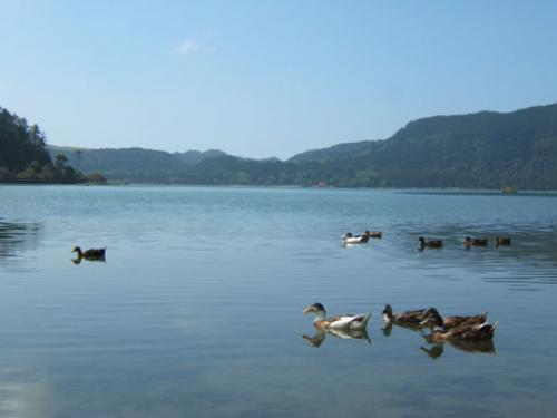 Fotografia de Jota Fotografia - Galeria Fotografica: Viajes - Foto: Lago