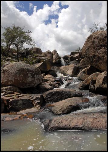Fotografia de alex franco - Galeria Fotografica: los nios terribles - Foto: la vida fluye