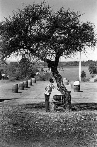 Fotografia de Diego Sandoval - Galeria Fotografica: Portezuelo - Foto: 