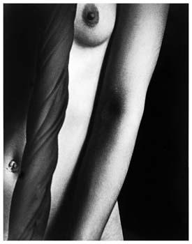 Fotografia de Gian Luca Franceschini | photography - Galeria Fotografica: Dettagli - Foto: 