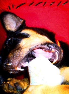 Fotografia de Matias Madala - Galeria Fotografica: Retratos - Foto: Pepona!