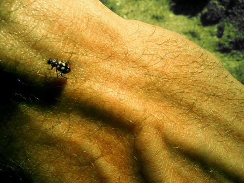 Fotografia de Matias Madala - Galeria Fotografica: Minimal - Foto: Comprender