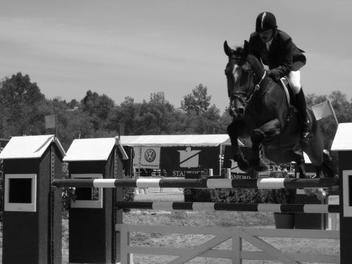 Fotografia de Toro - Galeria Fotografica: DIGITAL - Foto: SALTANDO