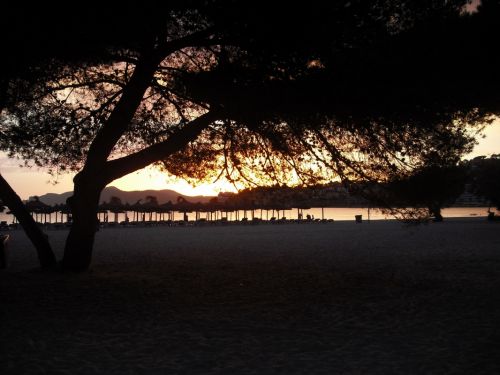 Fotografia de Manuel - Galeria Fotografica: Atardecer - Foto: 