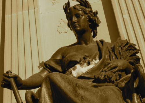 Fotografia de FotoSwing - Galeria Fotografica: FOTOSWING - Foto: Madre de piedra