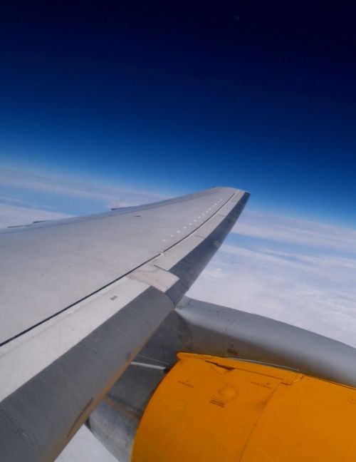 Fotografia de FotoSwing - Galeria Fotografica: FOTOSWING - Foto: Condor