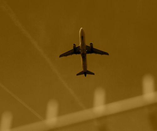 Fotografia de FotoSwing - Galeria Fotografica: FOTOSWING - Foto: Volo