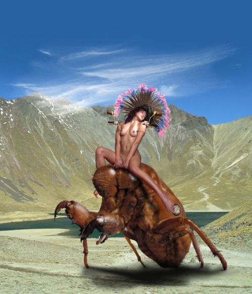 Fotografia de Islas - Galeria Fotografica: Mexicanismos - Foto: Cigarra y Doncella