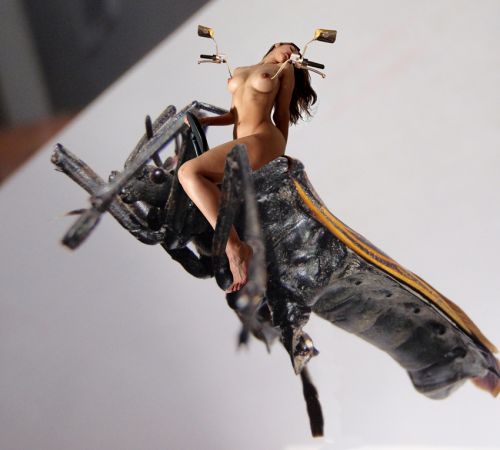 Fotografia de Islas - Galeria Fotografica: Mexicanismos - Foto: DONCELLA CON MANUBRIOS SOBRE INSECTO