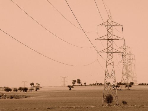 Fotografia de Franjo - Galeria Fotografica: Momentos - Foto: 