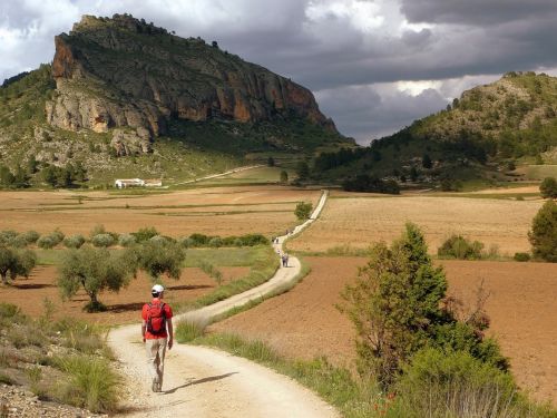 Fotografia de Franjo - Galeria Fotografica: Momentos - Foto: 