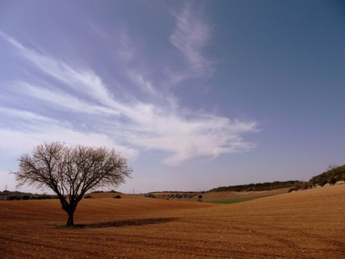 Fotografia de Franjo - Galeria Fotografica: Momentos - Foto: 