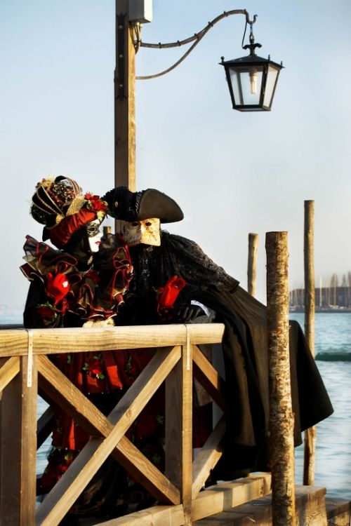 Fotografia de Vick Fichtner - Galeria Fotografica: 