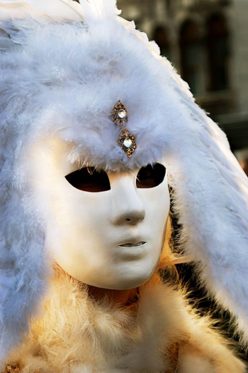 Fotografia de Vick Fichtner - Galeria Fotografica: 