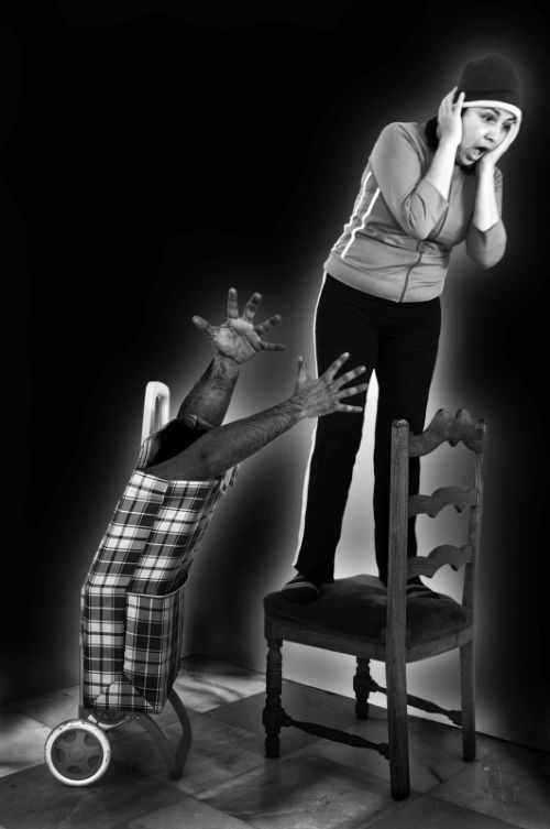 Fotografia de Roque Hernandez - Galeria Fotografica: Lucinda - Foto: Carrito Asesino