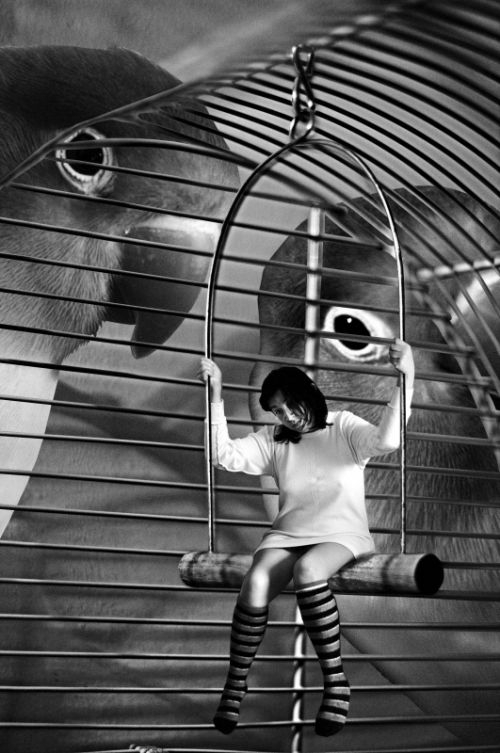 Fotografia de Roque Hernandez - Galeria Fotografica: Lucinda - Foto: Enjaulada