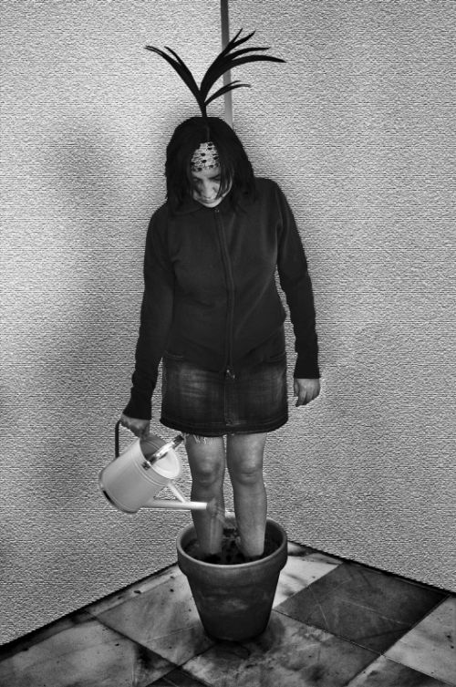 Fotografia de Roque Hernandez - Galeria Fotografica: Lucinda - Foto: Regando