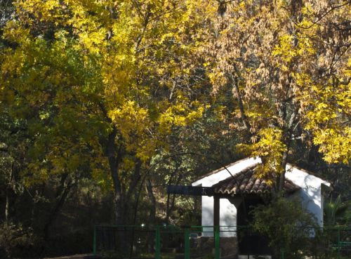 Fotografia de F.J.P - Galeria Fotografica: Naturaleza Muerta - Foto: Otoo Losareo