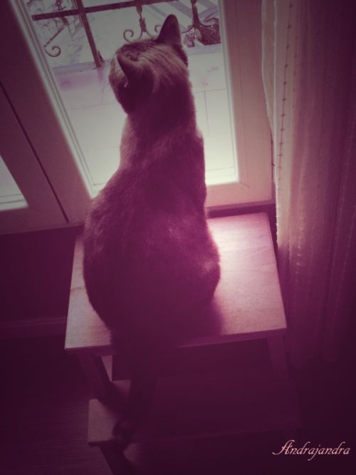 Fotografia de Andrajandra - Galeria Fotografica: naturaleza - Foto: woku