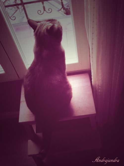 Fotografia de Andrajandra - Galeria Fotografica: naturaleza - Foto: woku1