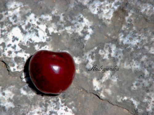 Fotografia de Andrajandra - Galeria Fotografica: varios - Foto: cereza