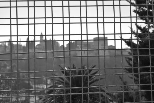 Fotografia de antonioortega - Galeria Fotografica: Granada en B/N - Foto: 