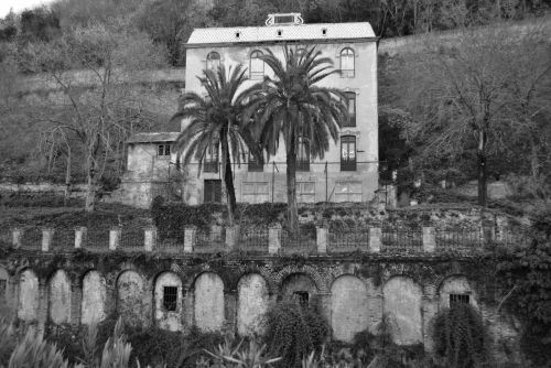 Fotografia de antonioortega - Galeria Fotografica: Granada en B/N - Foto: 