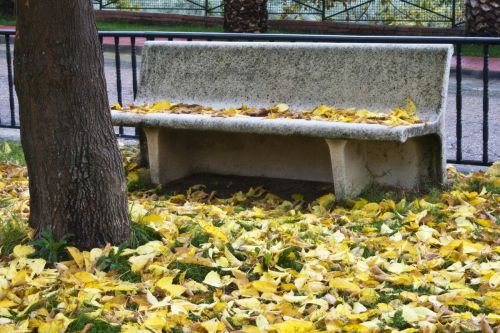 Fotografia de F.J.P - Galeria Fotografica: Naturaleza Muerta - Foto: 