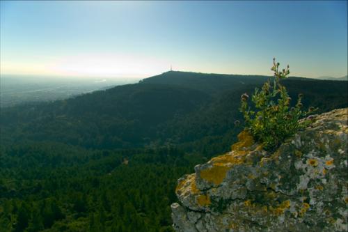 Fotografia de Joan GB - Galeria Fotografica: Las Roviras - Foto: Vistas des de el pic de l'guila