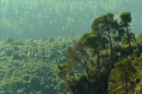 Fotografia de Joan GB - Galeria Fotografica: Las Roviras - Foto: Al filo