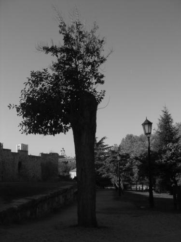 Fotografia de furket - Galeria Fotografica: Parpadeos - Foto: adelante..