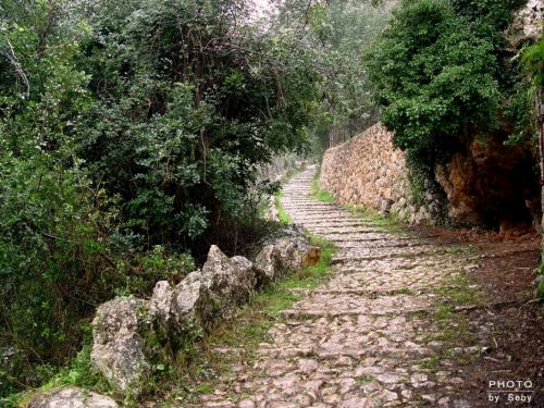 Fotografia de Seby - Galeria Fotografica: Landscape - Foto: El Camino