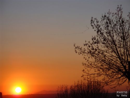 Fotografia de Seby - Galeria Fotografica: Nocturna - Foto: Anochecer en la dehesa