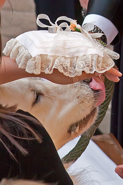 Fotografia de AF Foto - Galeria Fotografica: La fotografa es lo que queda ... - Foto: 