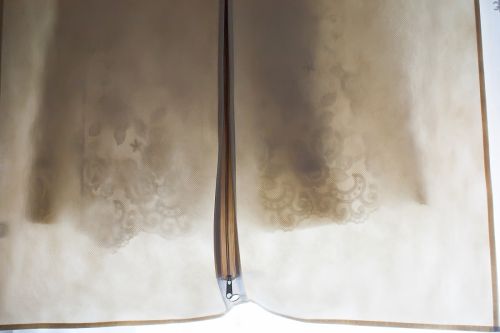 Fotografia de AF Foto - Galeria Fotografica: La fotografa es lo que queda ... - Foto: 