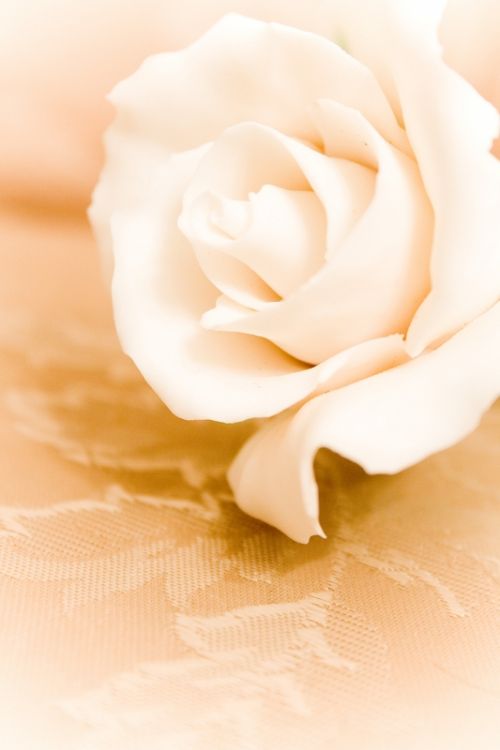 Fotografia de AF Foto - Galeria Fotografica: La fotografa es lo que queda ... - Foto: 