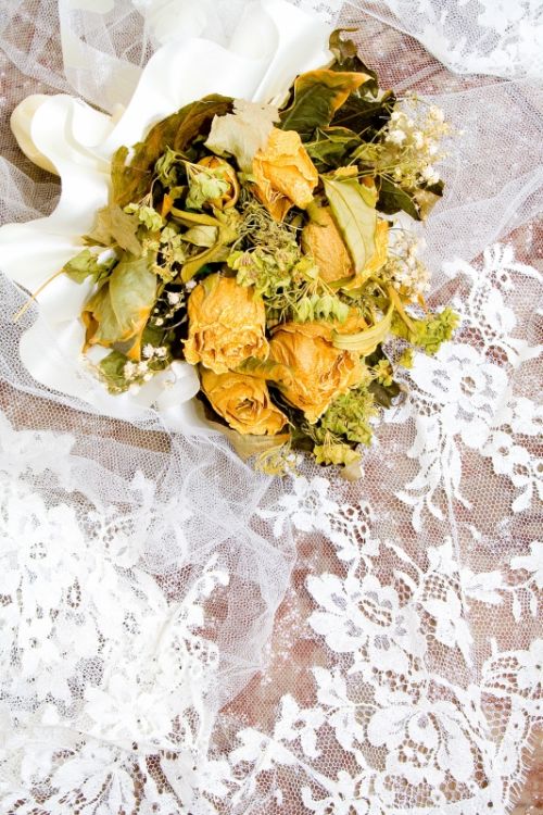 Fotografia de AF Foto - Galeria Fotografica: La fotografa es lo que queda ... - Foto: 