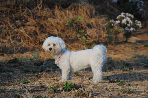 Fotografia de antonioortega - Galeria Fotografica: Materia viva II - Foto: 