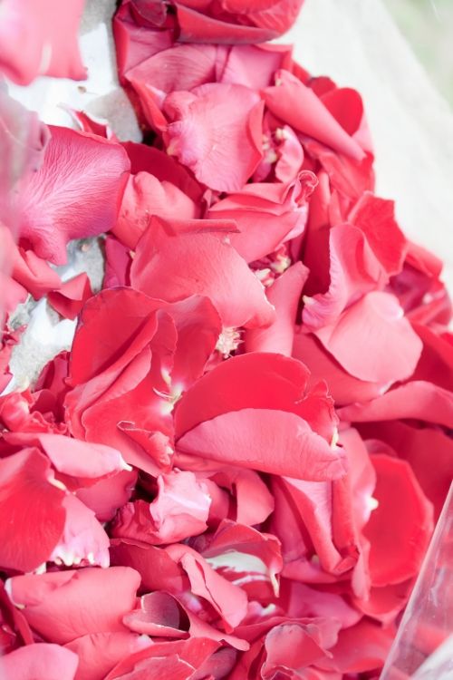 Fotografia de AF Foto - Galeria Fotografica: La fotografa es lo que queda ... - Foto: 