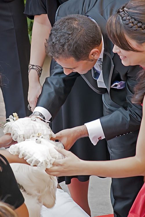 Fotografia de AF Foto - Galeria Fotografica: La fotografa es lo que queda ... - Foto: 