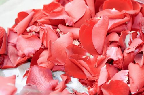 Fotografia de AF Foto - Galeria Fotografica: La fotografa es lo que queda ... - Foto: 